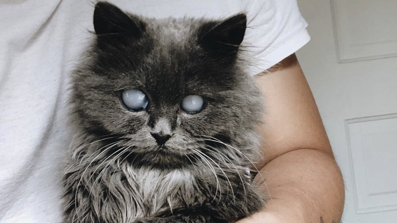 Your Daily Dose of Good Mood – Pictures That Will Improve Your Day In A Second