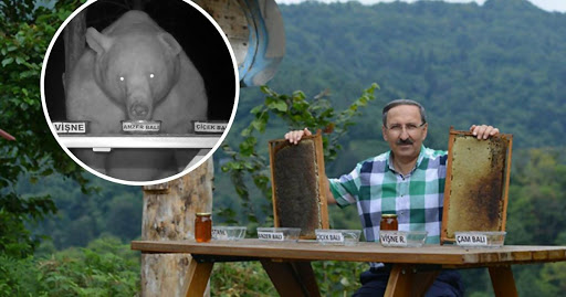 This Bee Farm Owner Has the Best and Most Unusual Honey Tasters! Read to Find Out More