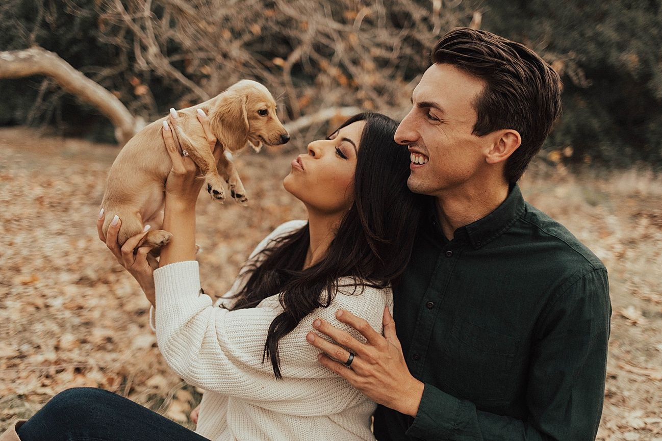 Best Pets To Have If You Are Allergic To Them