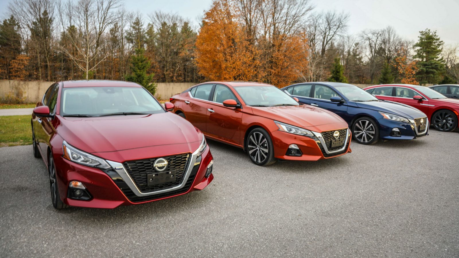 Find Out: How to Choose the Best Car