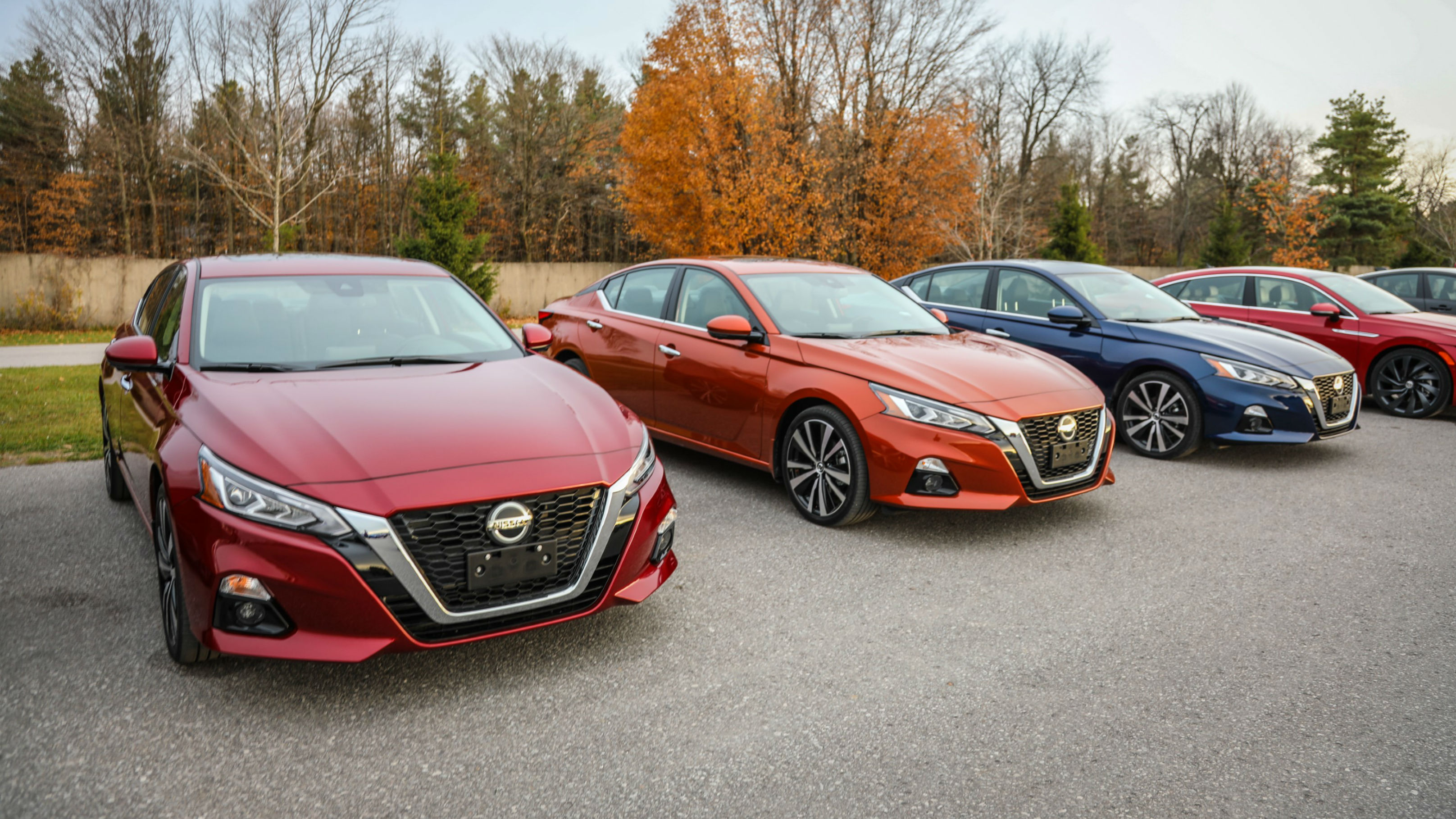 Find Out: How to Choose the Best Car