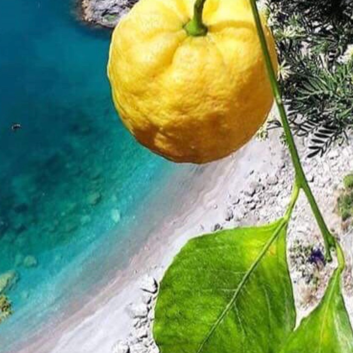 Capri: A Mediterranean Paradise Where Dreams and Waters Intertwine