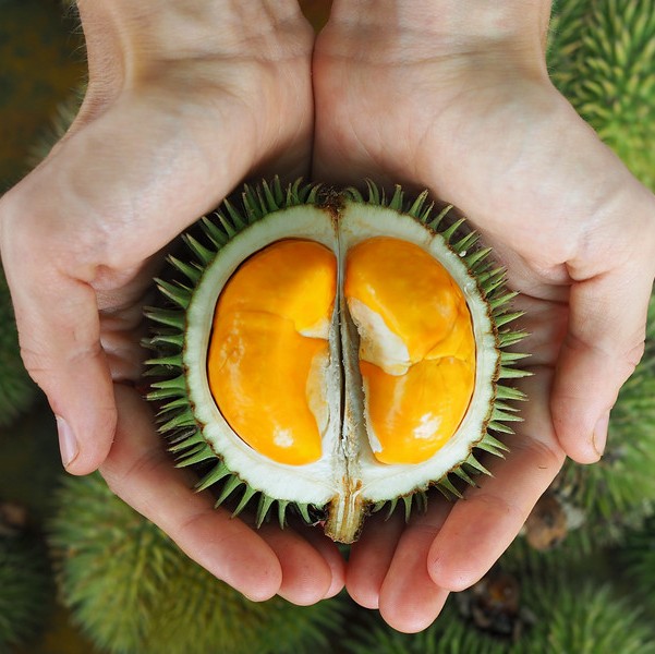 7 Foods that Smell Awful But Taste So Good