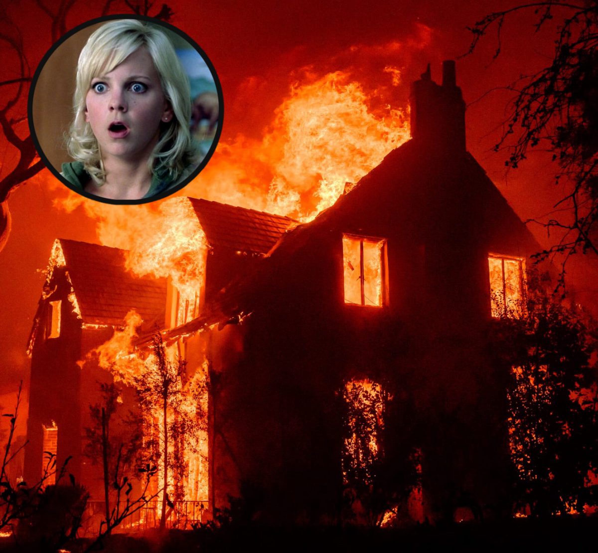 Celebrities Who’ve Lost Their Homes In the January 2025 California Wildfires