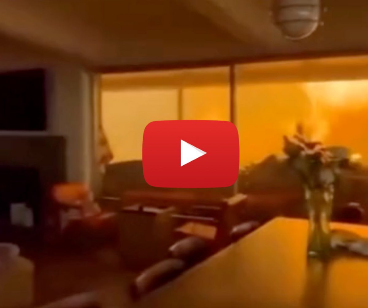 Trapped in a Burning Home: 2 Men and a Dog’s Fight to Survive the California Blaze!