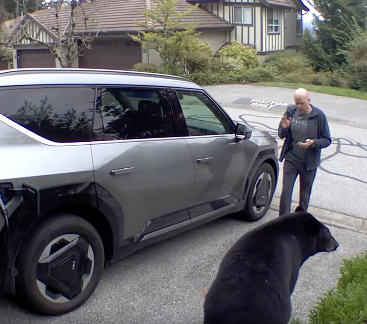 Insane Bear Encounter Caught on Camera——Wait Until You See the Shocking Twist at the End!