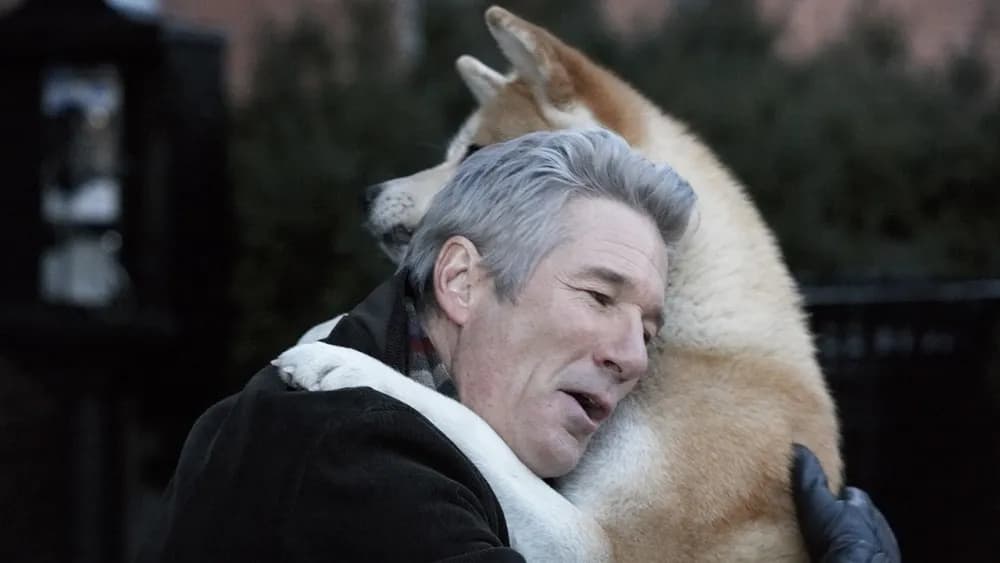 10 Sad Movies That Will Make You Hug Your Dog