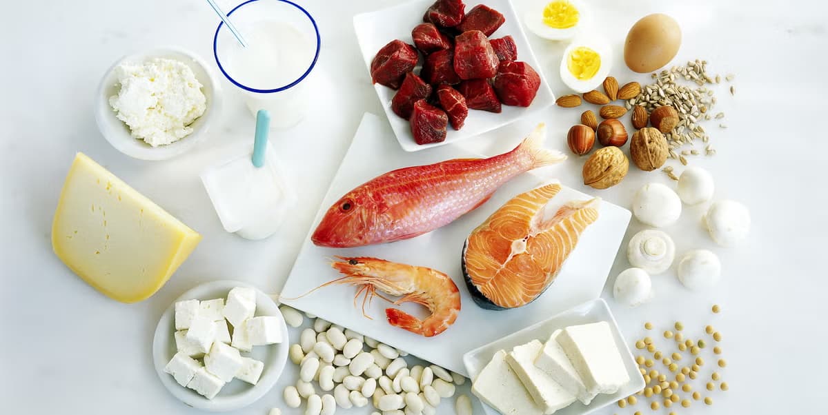 Top 10 Most Protein Packed Foods