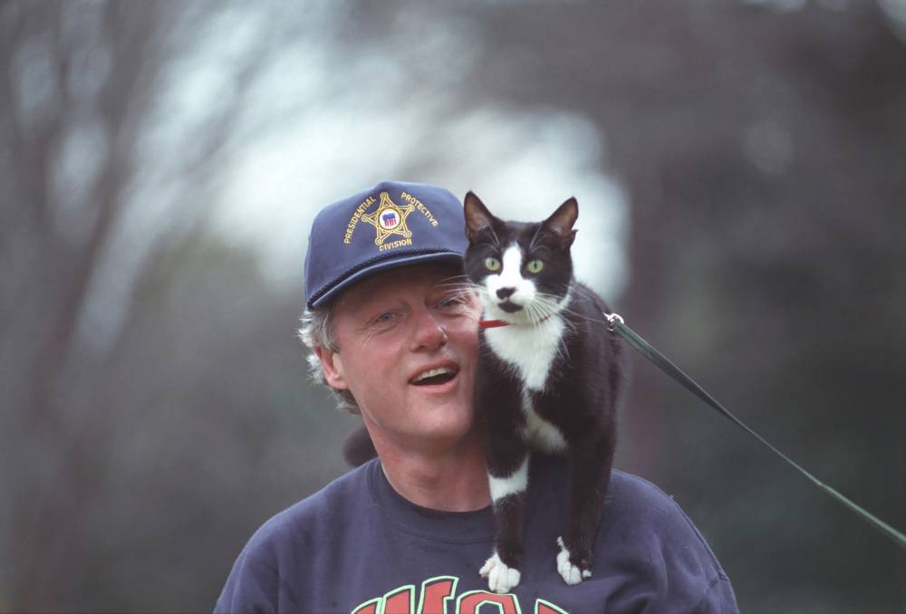 Top 8 Presidential Pets